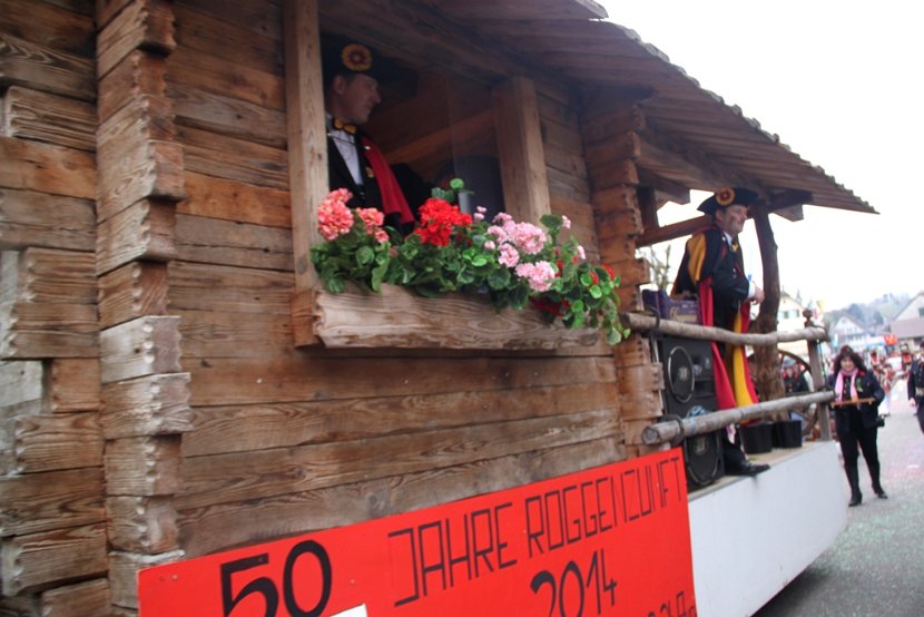 Sarmenstorf Fasnachtsumzug 16.02.2014 (113)